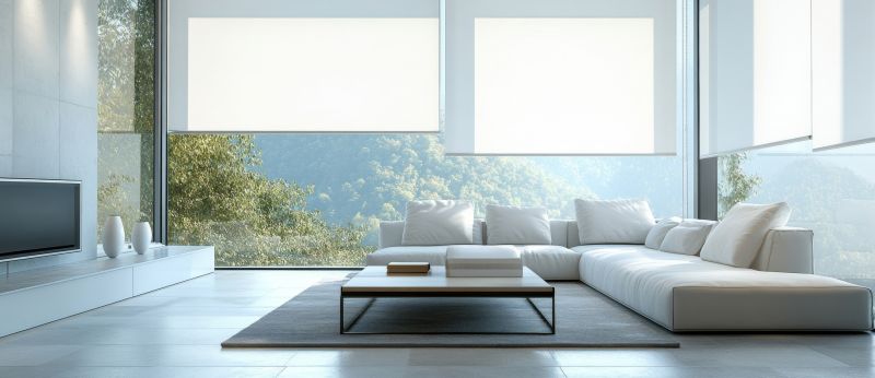 Automatic Drapes Installation in Manassas, VA