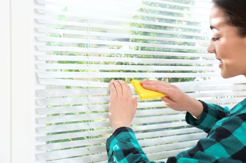 Vertical Blind Cleaning in Madison, WI