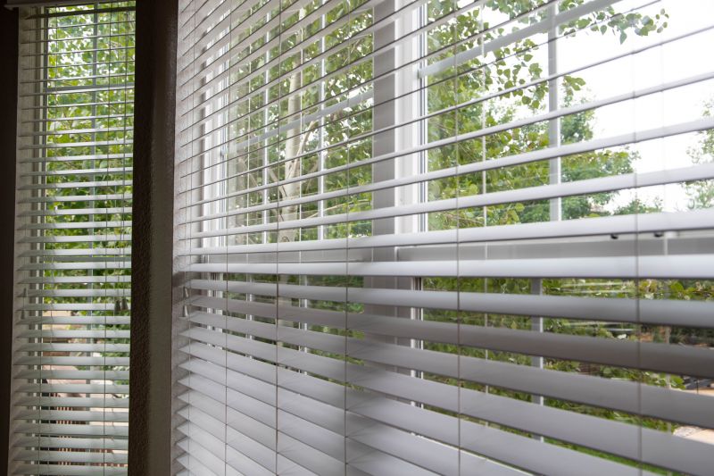 Window Blinds Installation in Denver County, CO